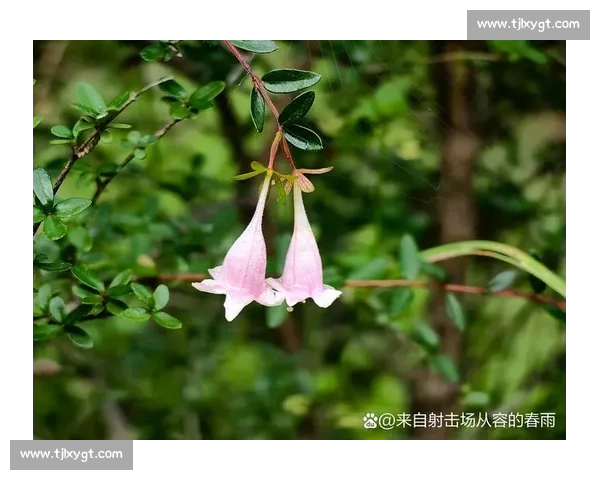 白教视角:滔搏八强之路,每一秒都攥心 白教视角:滔搏八强之路,每一秒都攥心