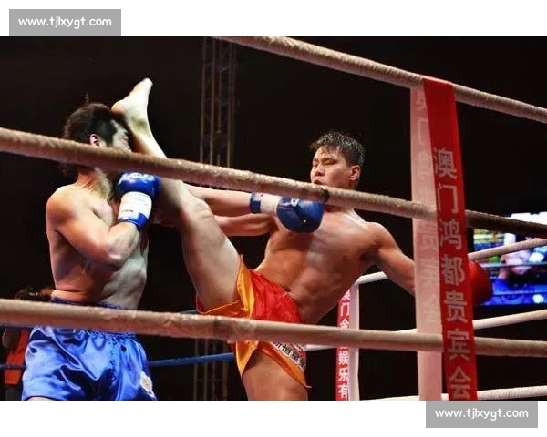 柳海龙vs苑玉宝巅峰对决中国力量与技术的终极较量赛场风云再起谁主沉浮